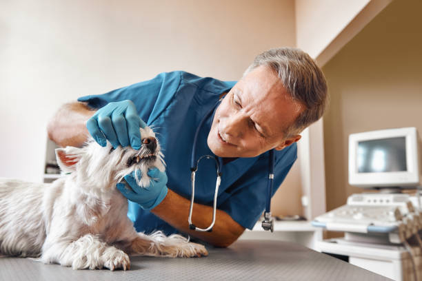 Best Emergency Dental Surgery in Aberdeen, SD